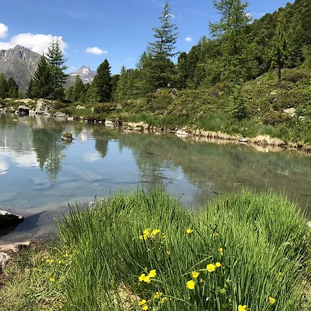 فندق إلدورادو ايشجل
