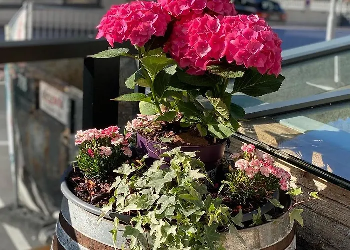 Szálloda Eldorado 4*